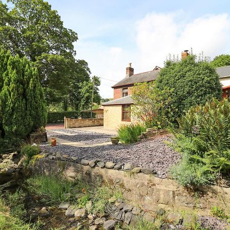 Brook Cottage Llanidloes Εξωτερικό φωτογραφία
